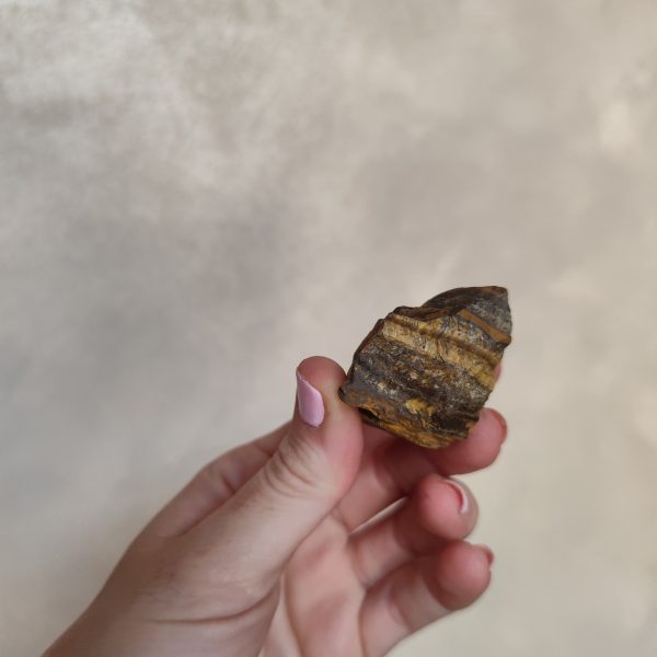 OJO DE TIGRE EN BRUTO