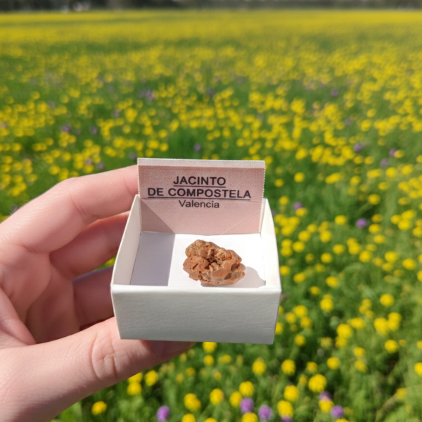 Jacinto de Compostela: El Cuarzo del Guía y el Protector