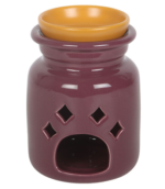 Quemador de aceite y calentador de cera Magic Potion Bottle - Imagen 3